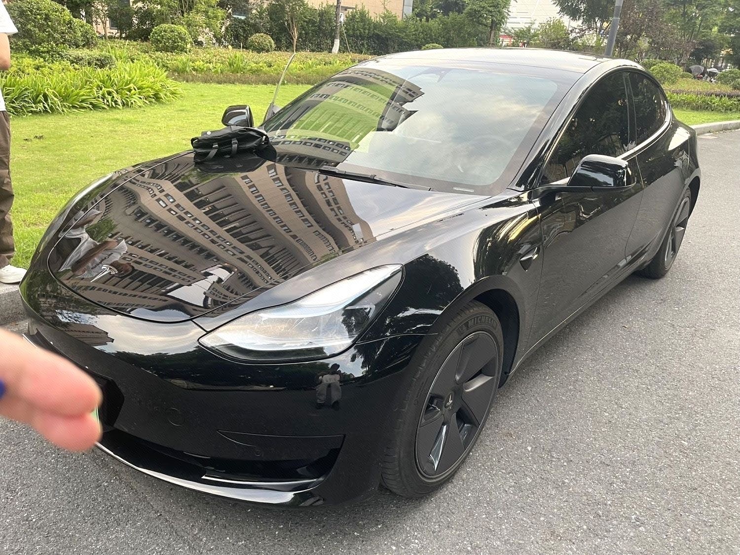 Tesla Model 3 2023 car image 