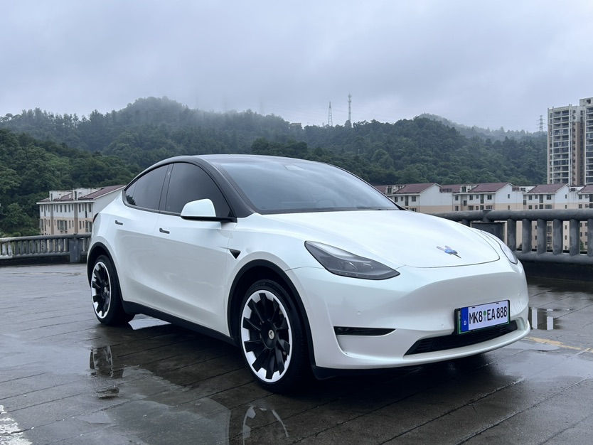 Tesla Model Y 2021 #11 Tesla Model Y 2021 car image #11