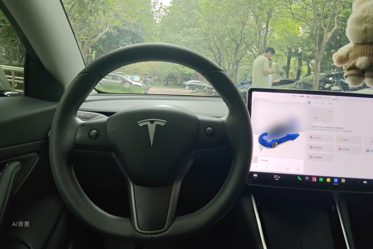 Tesla Model 3 2020 car image #12