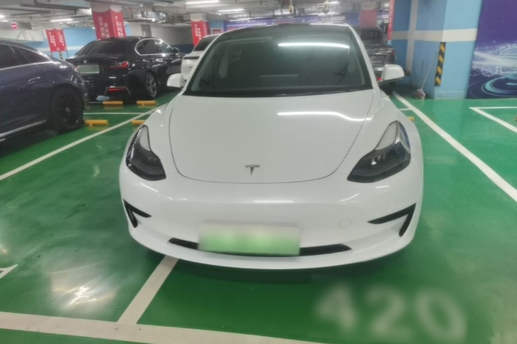 Tesla Model 3 2021 #3 Tesla Model 3 2021 car image #3