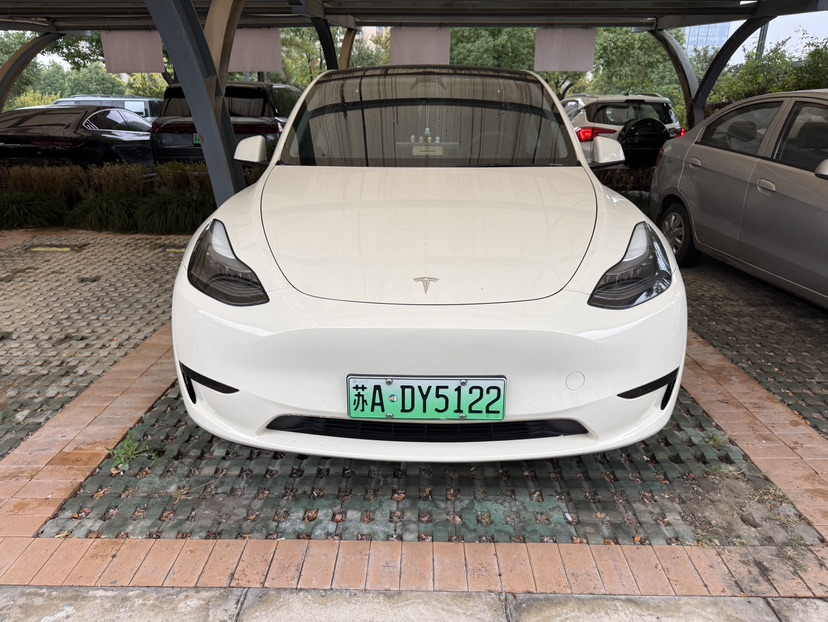 Tesla Model Y 2022 Tesla Model Y 2022 imagen de coche