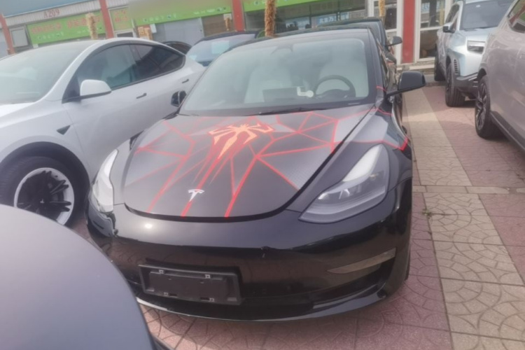 Tesla Model 3 2021 #3 Tesla Model 3 2021 car image #3