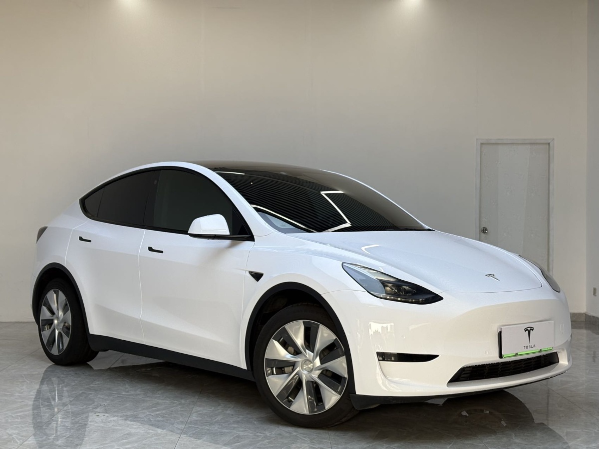 Tesla Model Y 1969 #3 Tesla Model Y 1969 car image #3
