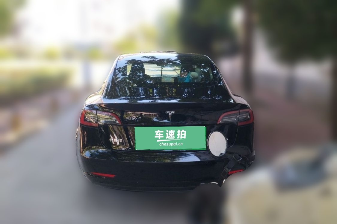 Tesla Model 3 2023 #6 Tesla Model 3 2023 car image #6
