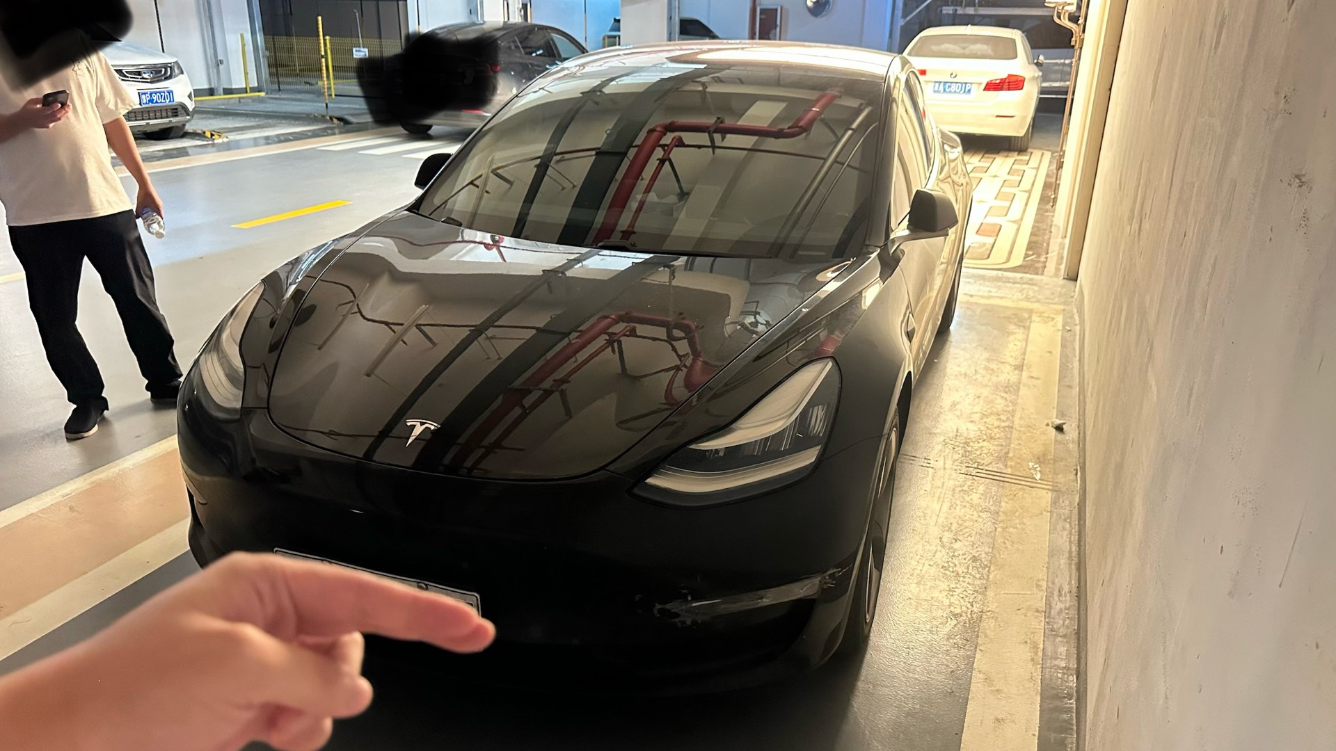 Tesla Model 3 (Imported) 2019 Tesla Model 3 (Imported) 2019 car image