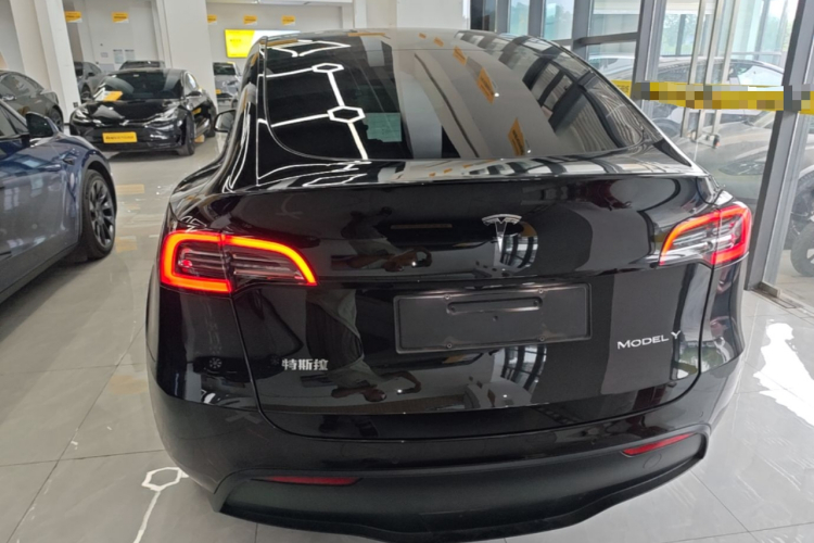 Tesla Model Y 2021 #6 Tesla Model Y 2021 car image #6