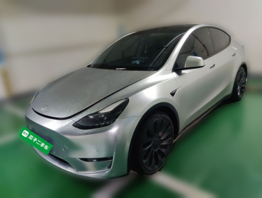 Tesla Model Y 2022 Tesla Model Y 2022 car image