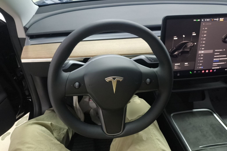 Tesla Model 3 2023 #11 Tesla Model 3 2023 car image #11