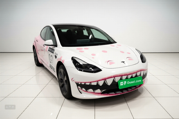 Tesla Model 3 2022 car image #4