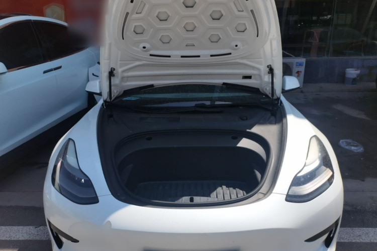Tesla Model 3 2021 car image #20