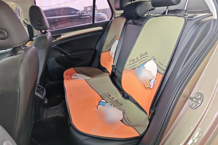 Volkswagen Golf 2019 #17 Volkswagen Golf 2019 car image #17