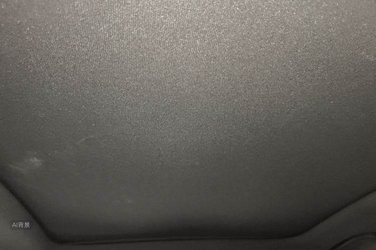 BYD Han 2020 car image #20