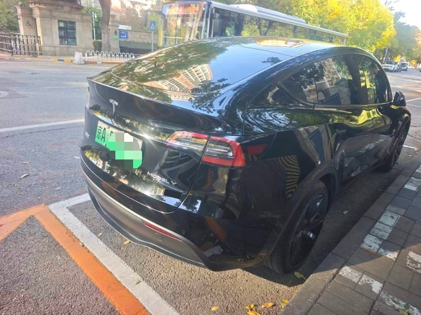 Tesla Model Y 2023 car image #9