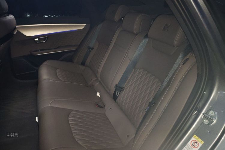 BYD Han 2024 car image #19
