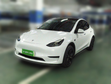 Tesla Model Y 2022 Tesla Model Y 2022 car image