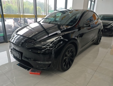 Tesla Model Y 2021 Tesla Model Y 2021 car image