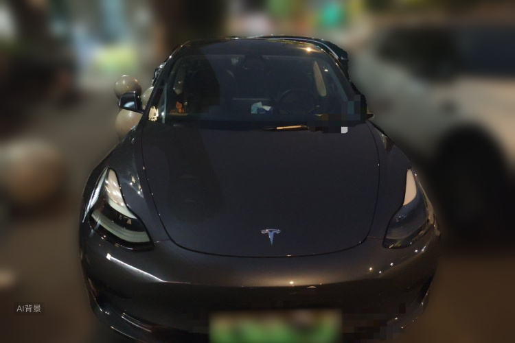 Tesla Model 3 2021 car image #3