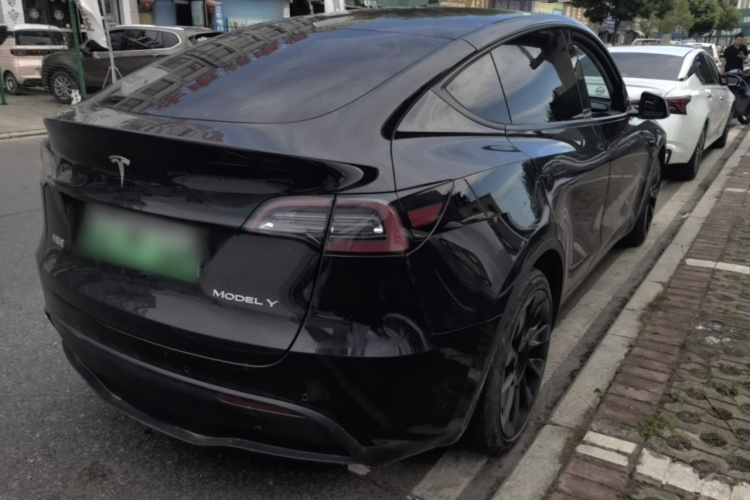 Tesla Model Y 2021 car image #7