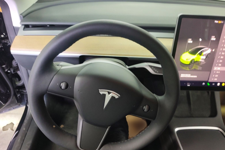 Tesla Model 3 2023 immagine di auto #11