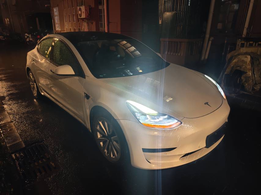 Tesla Model 3 2021 immagine di auto #3