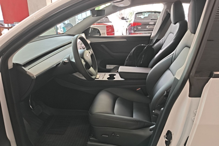Tesla Model Y 2024 car image #15