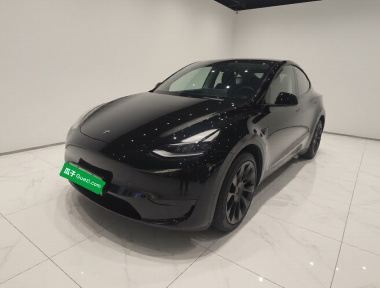 Tesla Model Y 2022 Tesla Model Y 2022 car image