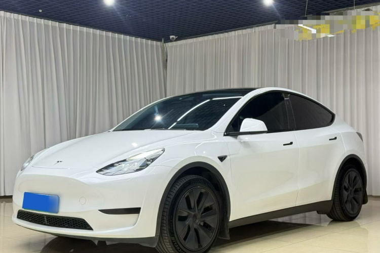 Tesla Model Y 2024 #2 Tesla Model Y 2024 car image #2
