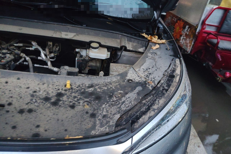BYD Yuan Plus 2023 car image #29