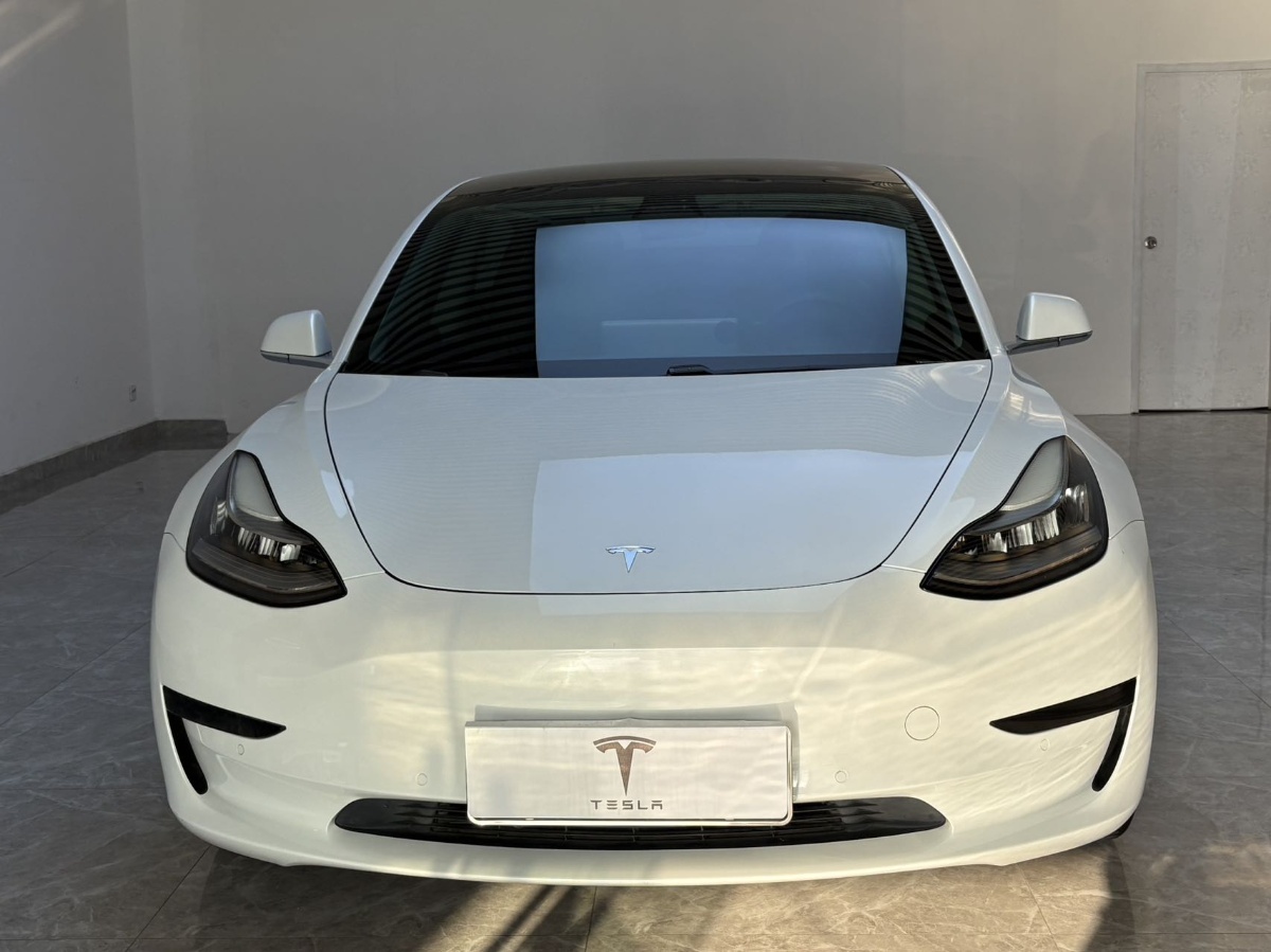 Tesla Model 3 2020 #2 Tesla Model 3 2020 car image #2