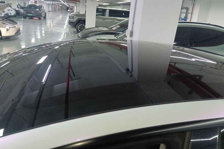 Tesla Model 3 2021 #25 Tesla Model 3 2021 car image #25