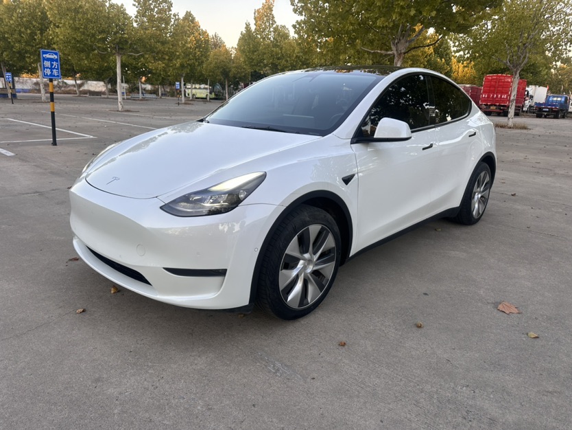 Tesla Model Y 2022 Tesla Model Y 2022 car image