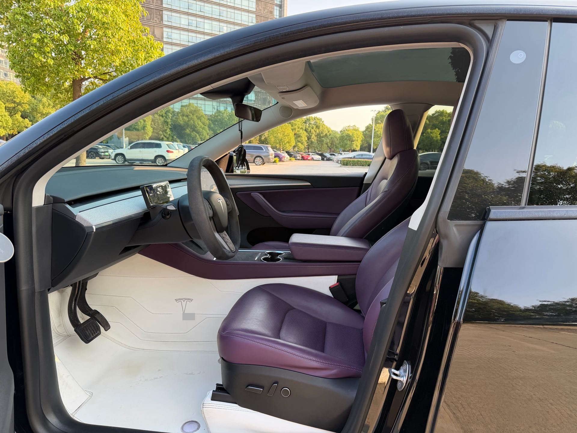 Tesla Model Y 2023 car image #14