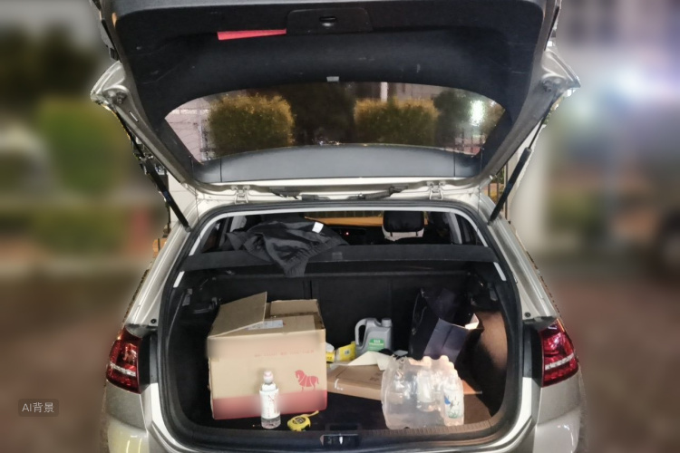 Volkswagen Golf 2017 car image #21