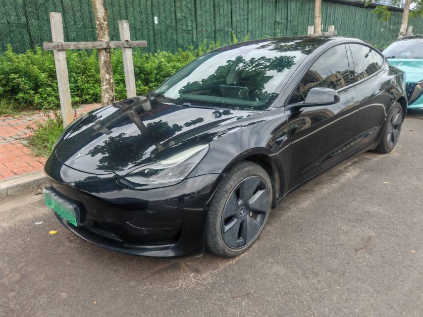 Tesla Model 3 2021 imagem de carro #2