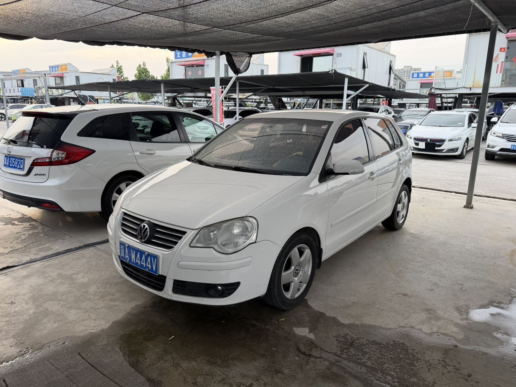 Volkswagen Polo 2009 car image 