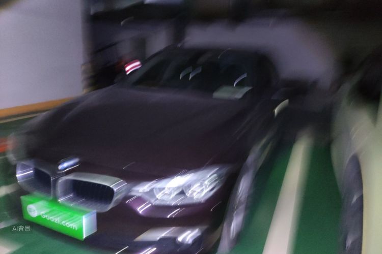 BMW 3 Series 2016 car image #4