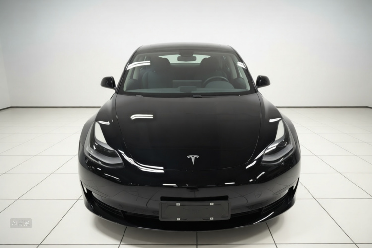 Tesla Model 3 2021 #3 Tesla Model 3 2021 car image #3