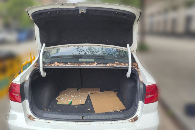 Volkswagen Bora 2016 imagem de carro #21