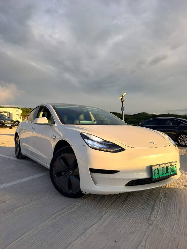 Tesla Model 3 2020 #2 Tesla Model 3 2020 car image #2
