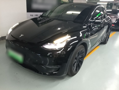 Tesla Model Y 2021 Tesla Model Y 2021 car image