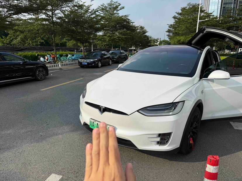 Tesla Model X 2021 car image 