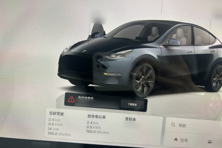 Tesla Model Y 2024 #13 Tesla Model Y 2024 car image #13