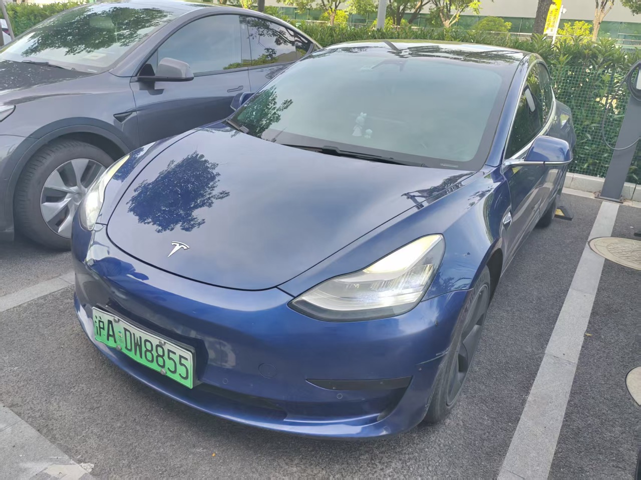 Tesla Model 3 2021 Tesla Model 3 2021 immagine di auto