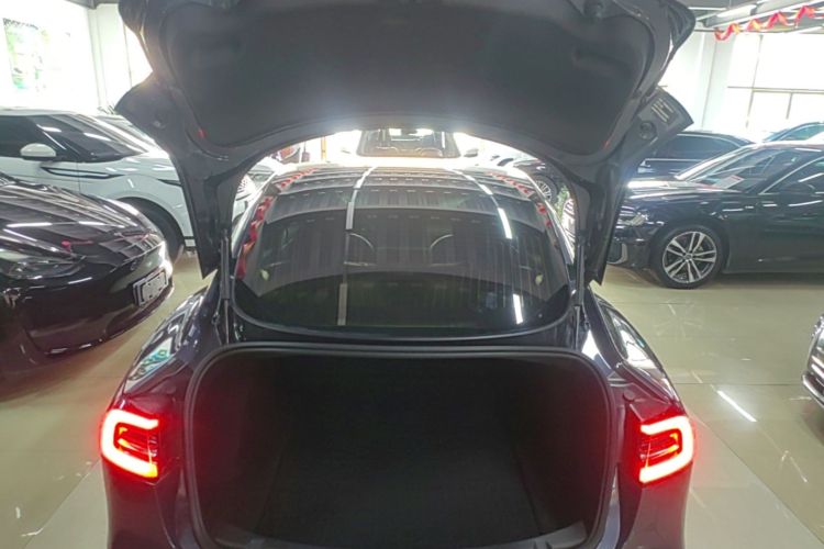 Tesla Model 3 2020 car image #21