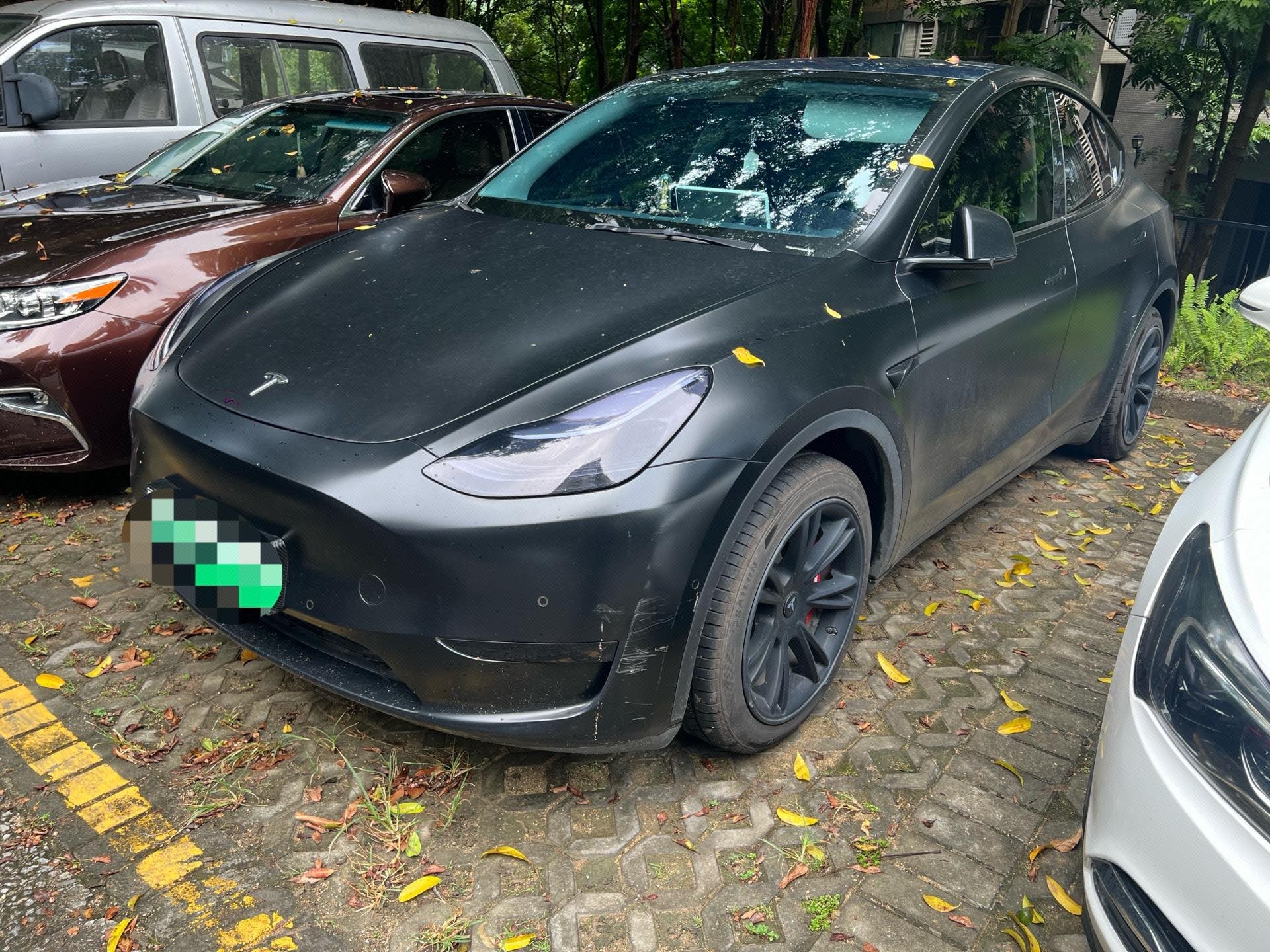 Tesla Model Y 2023 car image 