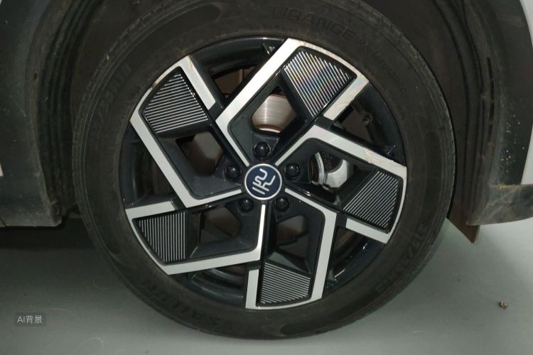 BYD Yuan Plus 2024 car image #9