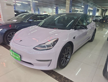 Tesla Model 3 2020 Tesla Model 3 2020 car image