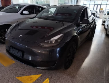 Tesla Model Y 2024 car image 
