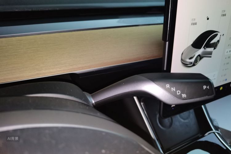 Tesla Model 3 2020 car image #16