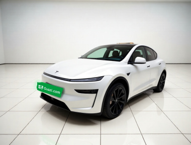 Tesla Model Y 2025 car image 